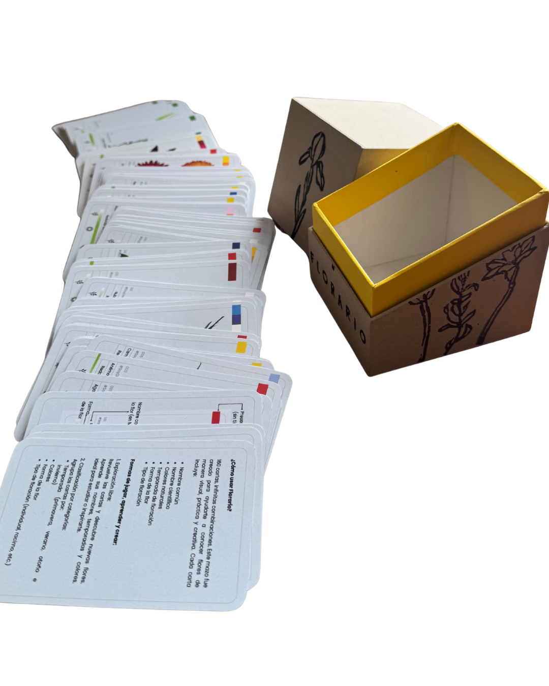 FLORARIO- Juego de 160 Tarjetas Botánicas