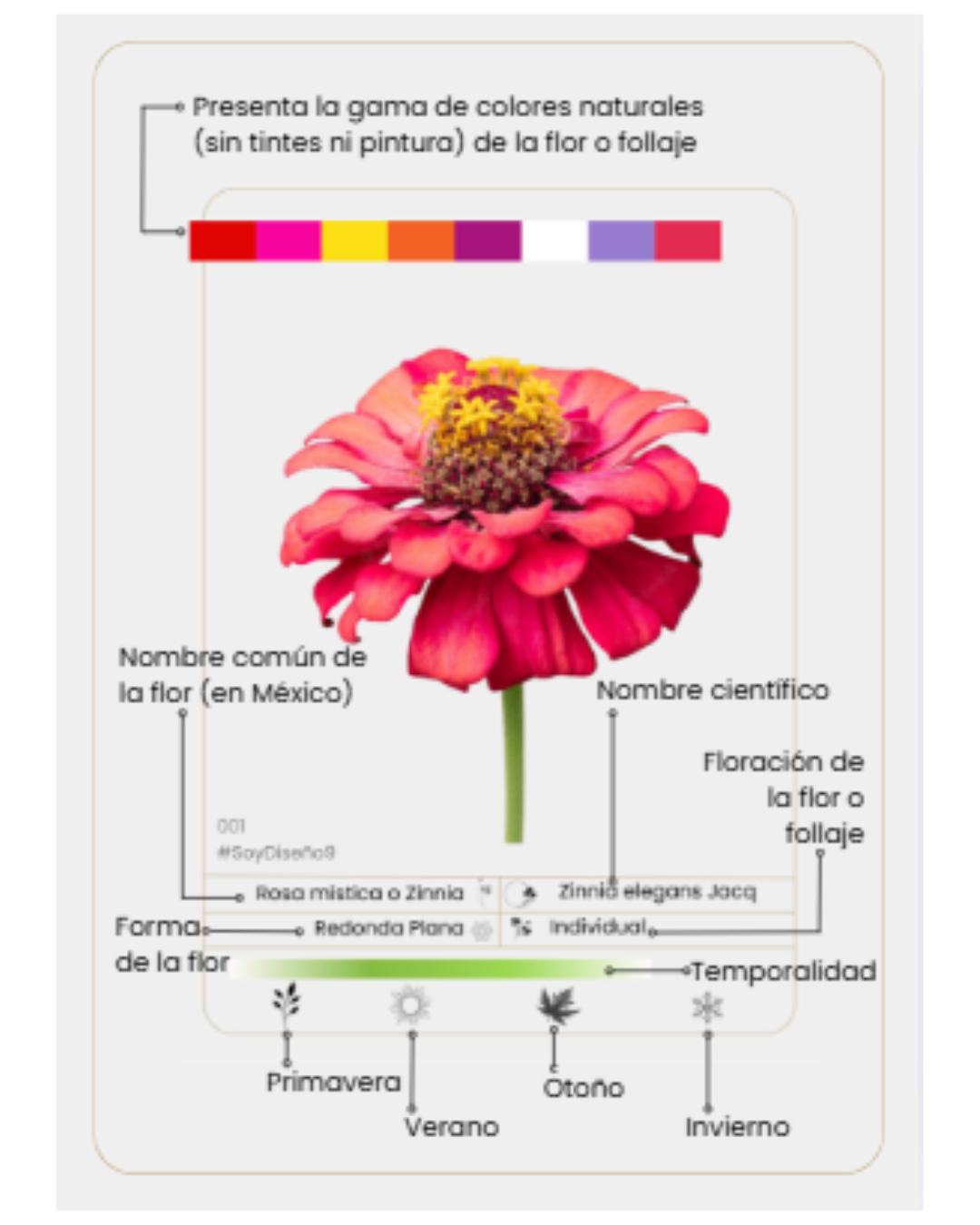 FLORARIO- Juego de 160 Tarjetas Botánicas