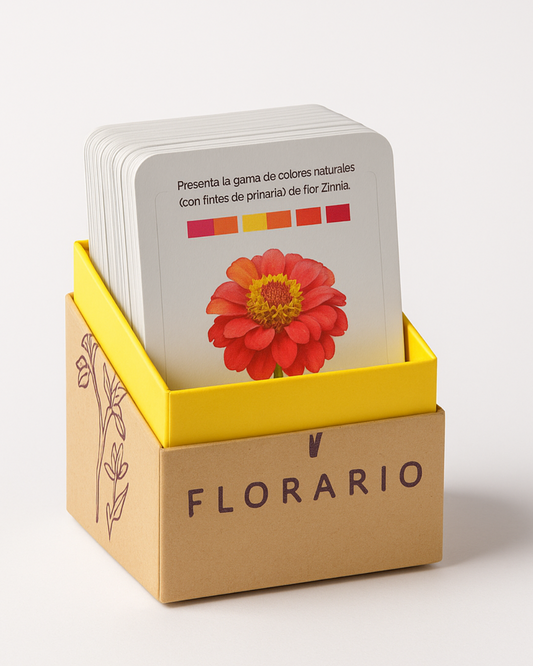 FLORARIO- Juego de 160 Tarjetas Botánicas